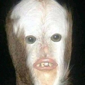 Meet your Posher, Alec